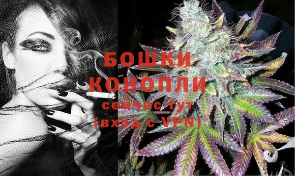 мяу мяу мука Сясьстрой