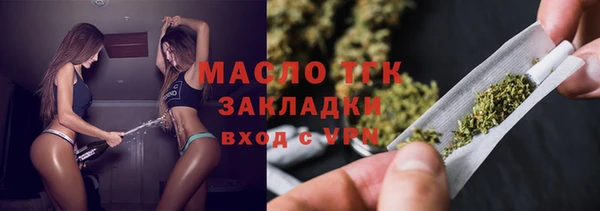 молекула духа Туринск
