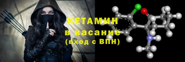 индика Тавда