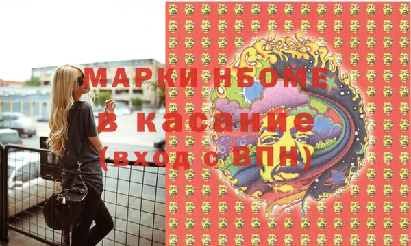молекула духа Туринск