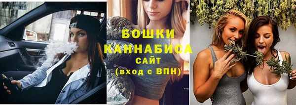 молекула духа Туринск