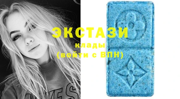 индика Тавда