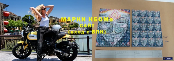 индика Тавда
