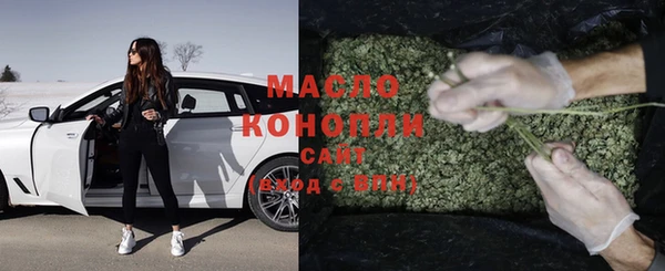 индика Тавда
