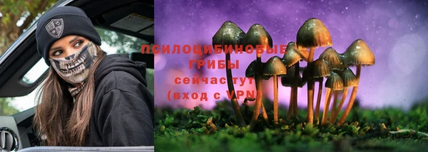 мяу мяу мука Сясьстрой