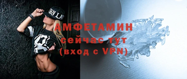индика Тавда